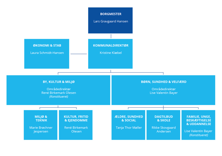 Organisationsdiagram